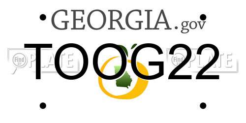 TOOG22 Georgia License Plate