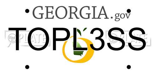 TOPL3SS Georgia License Plate