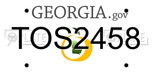 TOS2458 Georgia License Plate