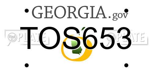 TOS653 Georgia License Plate