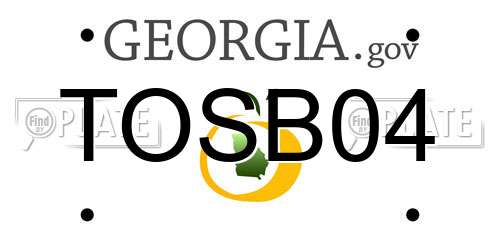 TOSB04 Georgia License Plate
