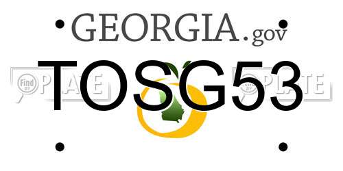 TOSG53 Georgia License Plate