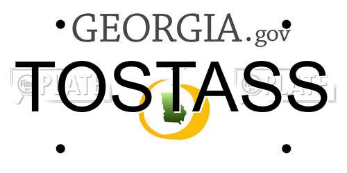 TOSTASS Georgia License Plate