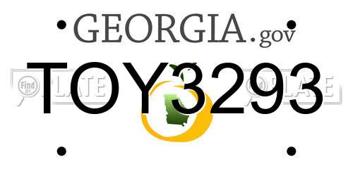 TOY3293 Georgia License Plate