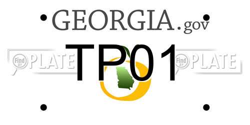 TP01 Georgia License Plate