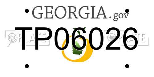 TP06026 Georgia License Plate