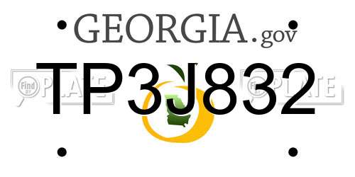 TP3J832 Georgia License Plate