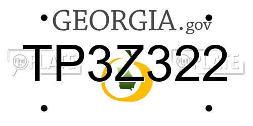 TP3Z322 Georgia License Plate