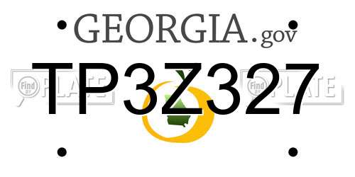TP3Z327 Georgia License Plate