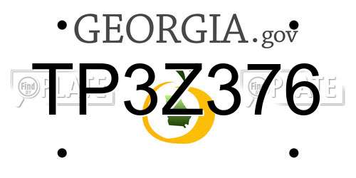 TP3Z376 Georgia License Plate