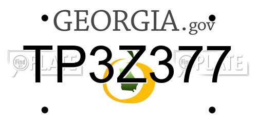 TP3Z377 Georgia License Plate