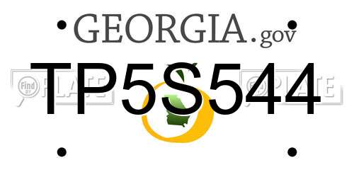 TP5S544 Georgia License Plate