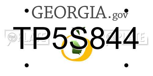 TP5S844 Georgia License Plate