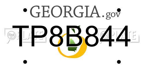 TP8B844 Georgia License Plate