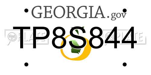 TP8S844 Georgia License Plate