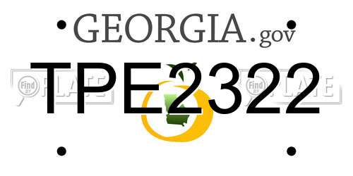 TPE2322 Georgia License Plate
