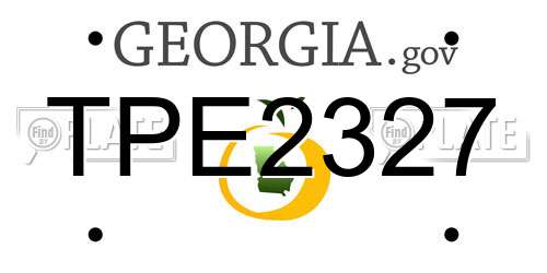 TPE2327 Georgia License Plate