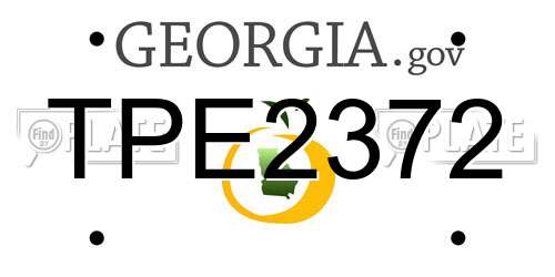 TPE2372 Georgia License Plate