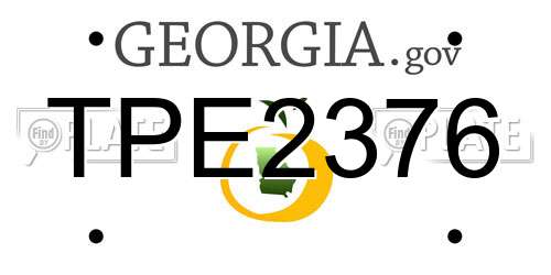 TPE2376 Georgia License Plate