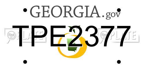 TPE2377 Georgia License Plate