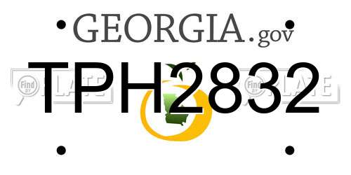 TPH2832 Georgia License Plate