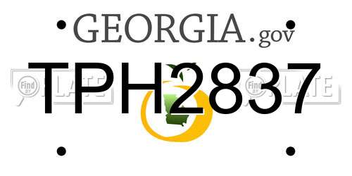 TPH2837 Georgia License Plate