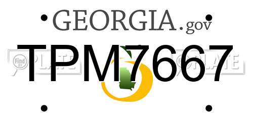 TPM7667 Georgia License Plate