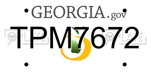 TPM7672 Georgia License Plate