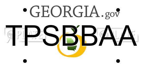TPSBBAA Georgia License Plate