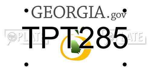 TPT285 Georgia License Plate