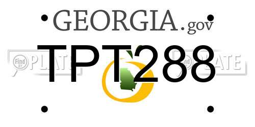 TPT288 Georgia License Plate
