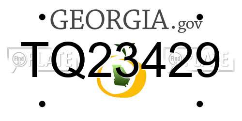 TQ23429 Georgia License Plate