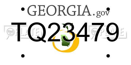 TQ23479 Georgia License Plate