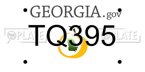 TQ395 Georgia License Plate