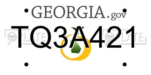 TQ3A421 Georgia License Plate
