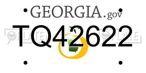 TQ42622 Georgia License Plate