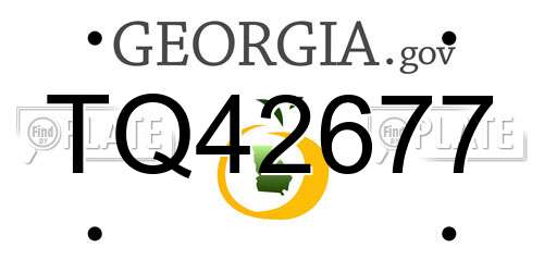 TQ42677 Georgia License Plate