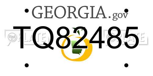 TQ82485 Georgia License Plate