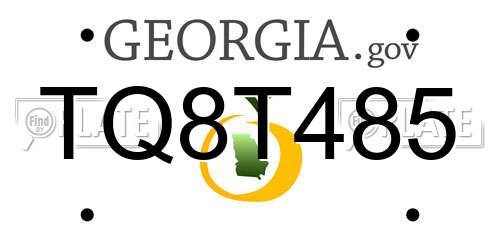 TQ8T485 Georgia License Plate