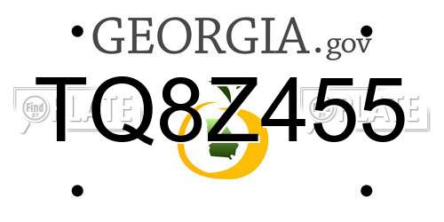TQ8Z455 Georgia License Plate