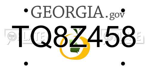 TQ8Z458 Georgia License Plate