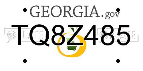 TQ8Z485 Georgia License Plate
