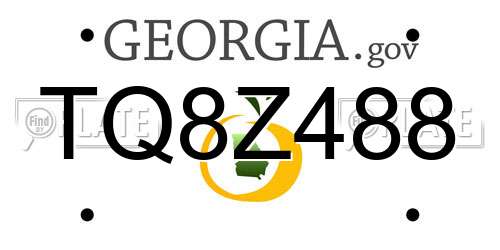 TQ8Z488 Georgia License Plate
