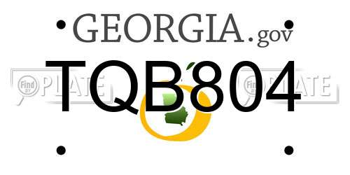 TQB804 Georgia License Plate