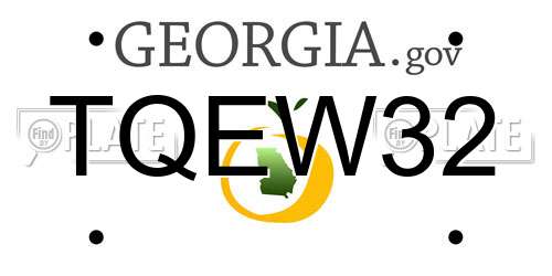 TQEW32 Georgia License Plate