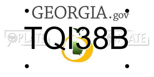 TQI38B Georgia License Plate