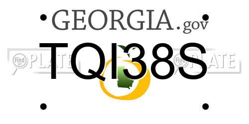 TQI38S Georgia License Plate