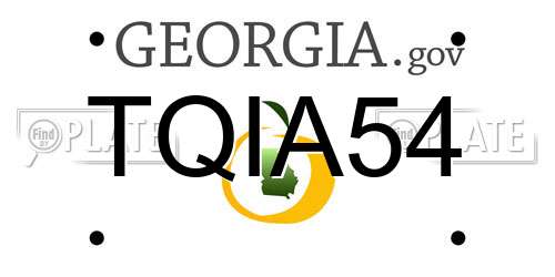 TQIA54 Georgia License Plate
