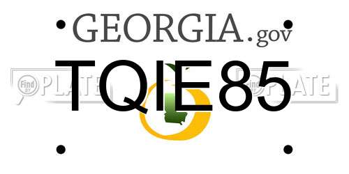 TQIE85 Georgia License Plate