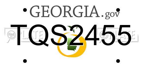 TQS2455 Georgia License Plate
